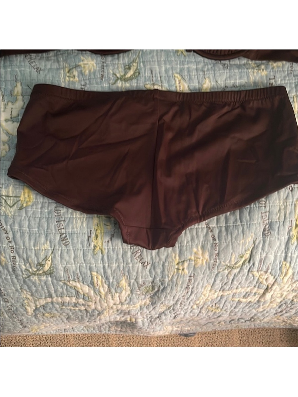 J Crew Boybrief Bikini Bottoms, M